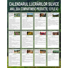 Calendarul Lucrărilor Silvice 2024, Compartiment Producție, 12 file A3