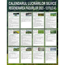 Calendarul Lucrărilor Silvice - Regenerarea Pădurilor 2023 - 12 file A3