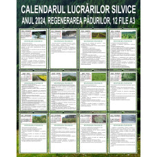 Calendarul Lucrărilor Silvice 2024, Compartiment Regenerarea Pădurilor, 12 file A3