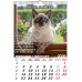 Calendar PISICI, 12 file