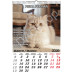 Calendar PISICI, 12 file