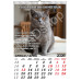 Calendar PISICI, 12 file