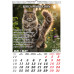 Calendar PISICI, 12 file