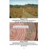 Carte Boli ale plantelor lemnoase forestiere