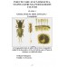Carte Dăunători ai Pădurilor - Biologie şi Combatere