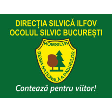 Autocolant Sticker ROMSILVA - Sigla/Logo - Direcția Silvică - Ocolul Silvic
